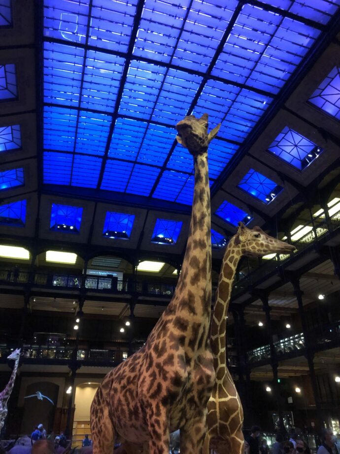 museum d'histoire naturelle