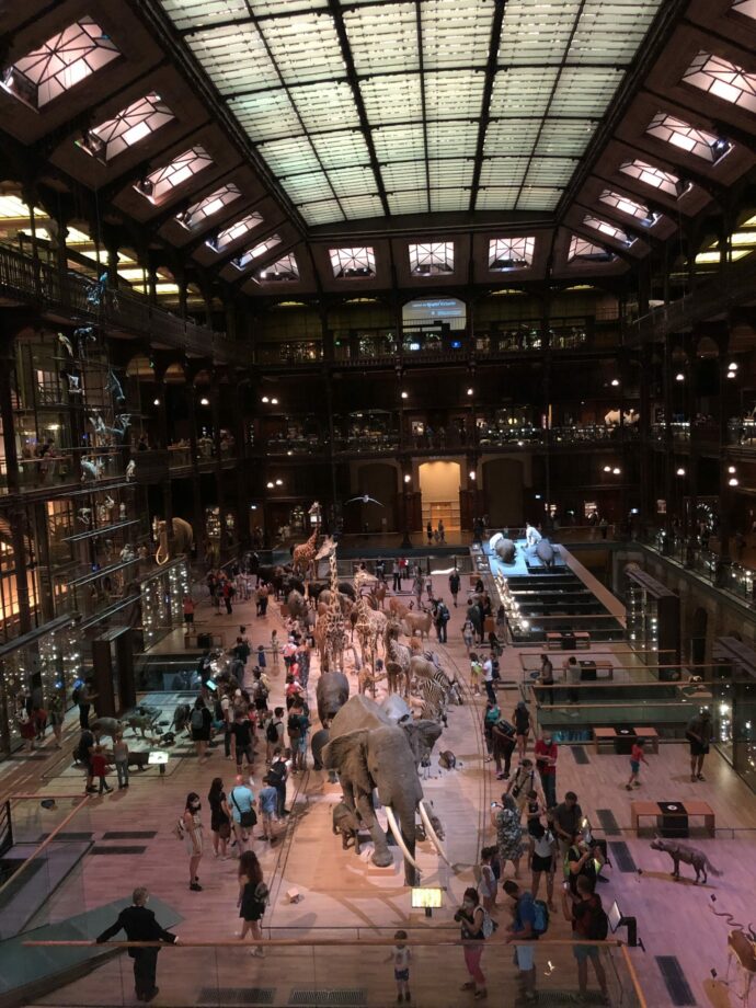 museum d'histoire naturelle