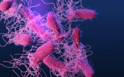 Comment réussir une vulgarisation scientifique?
