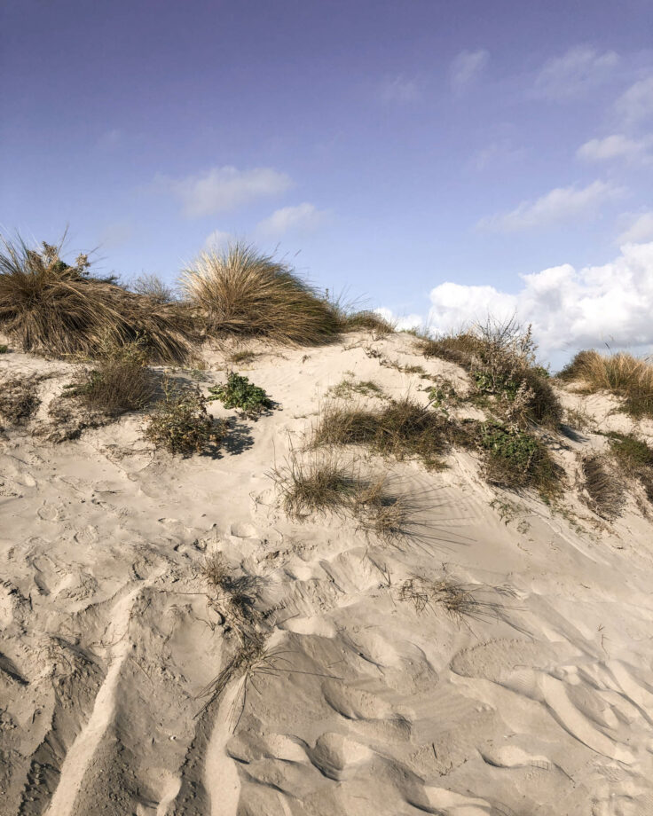 dune