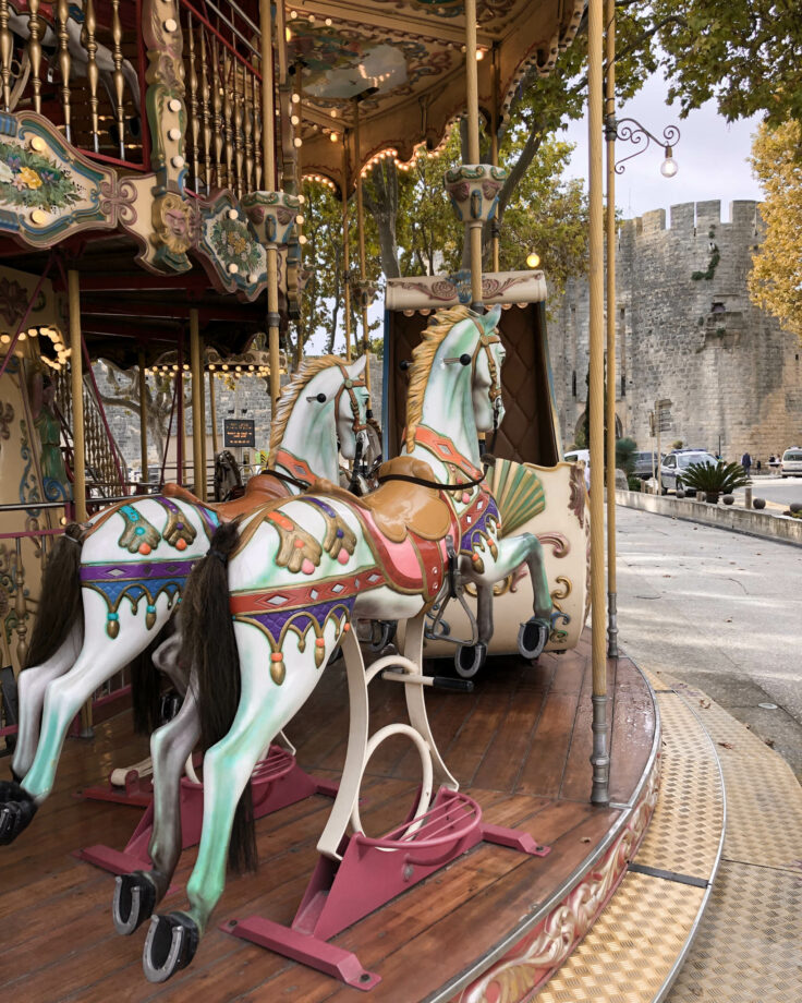 chevaux manège