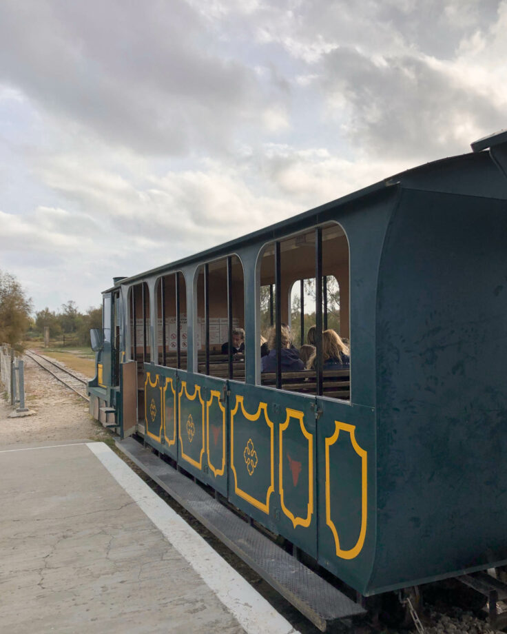 petit train