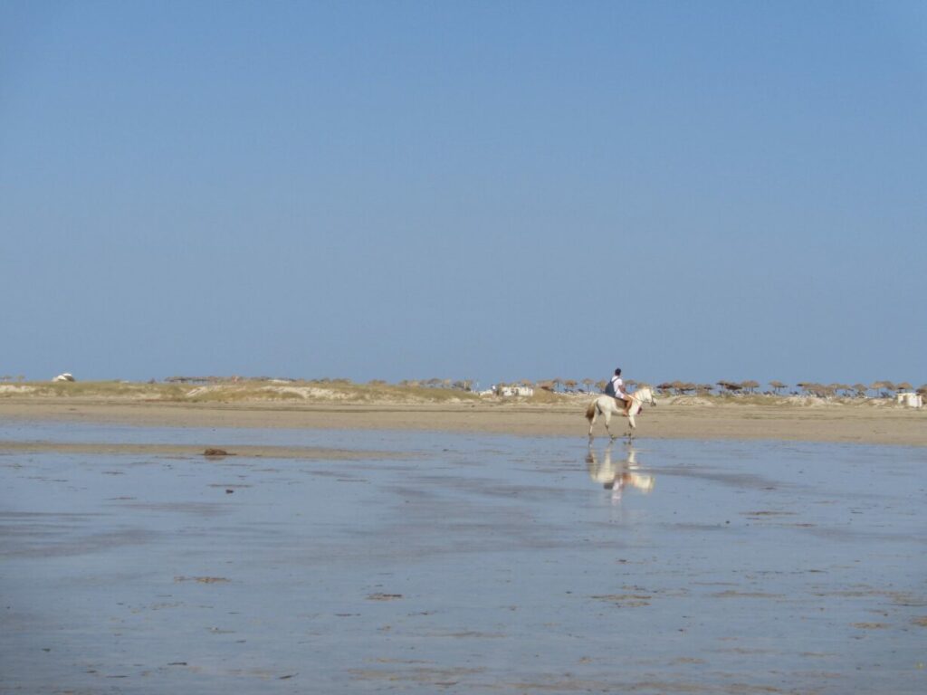 plage en tunisie sud