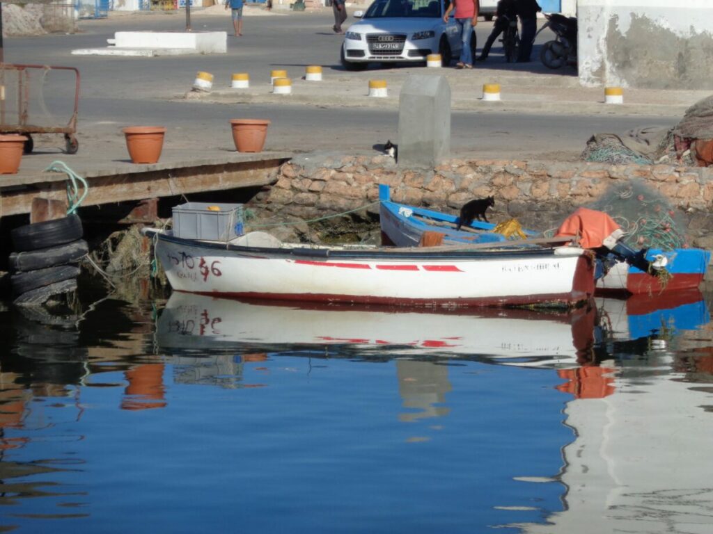 djerba chat