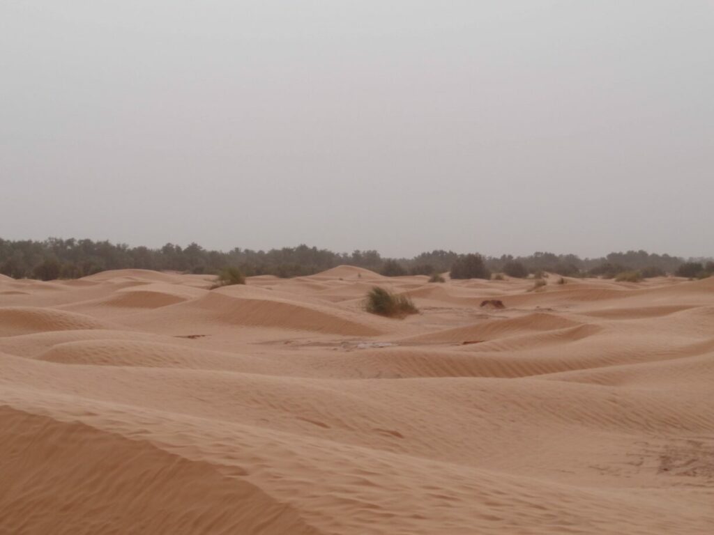 désert tunisie