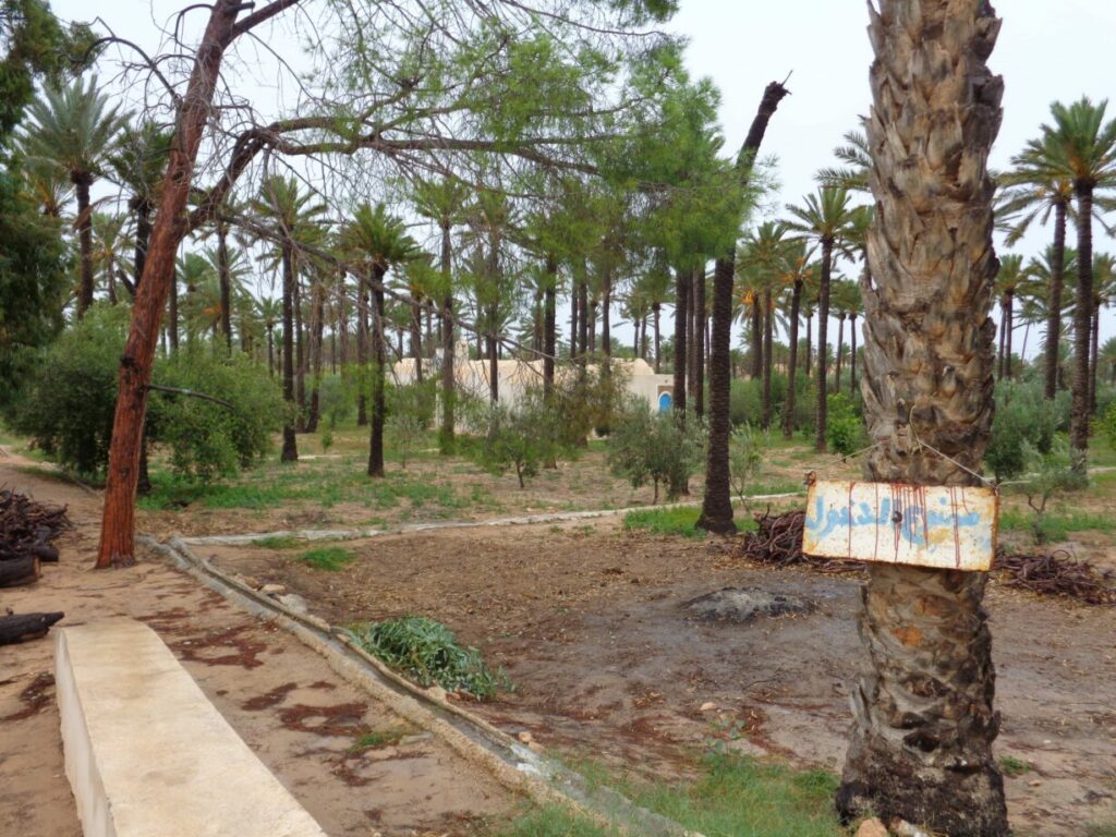 djerba