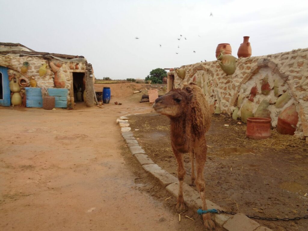 djerba poterie