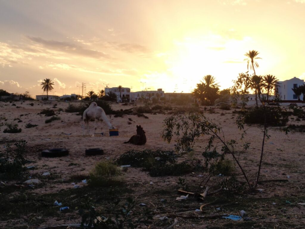 djerba coucher de soleil